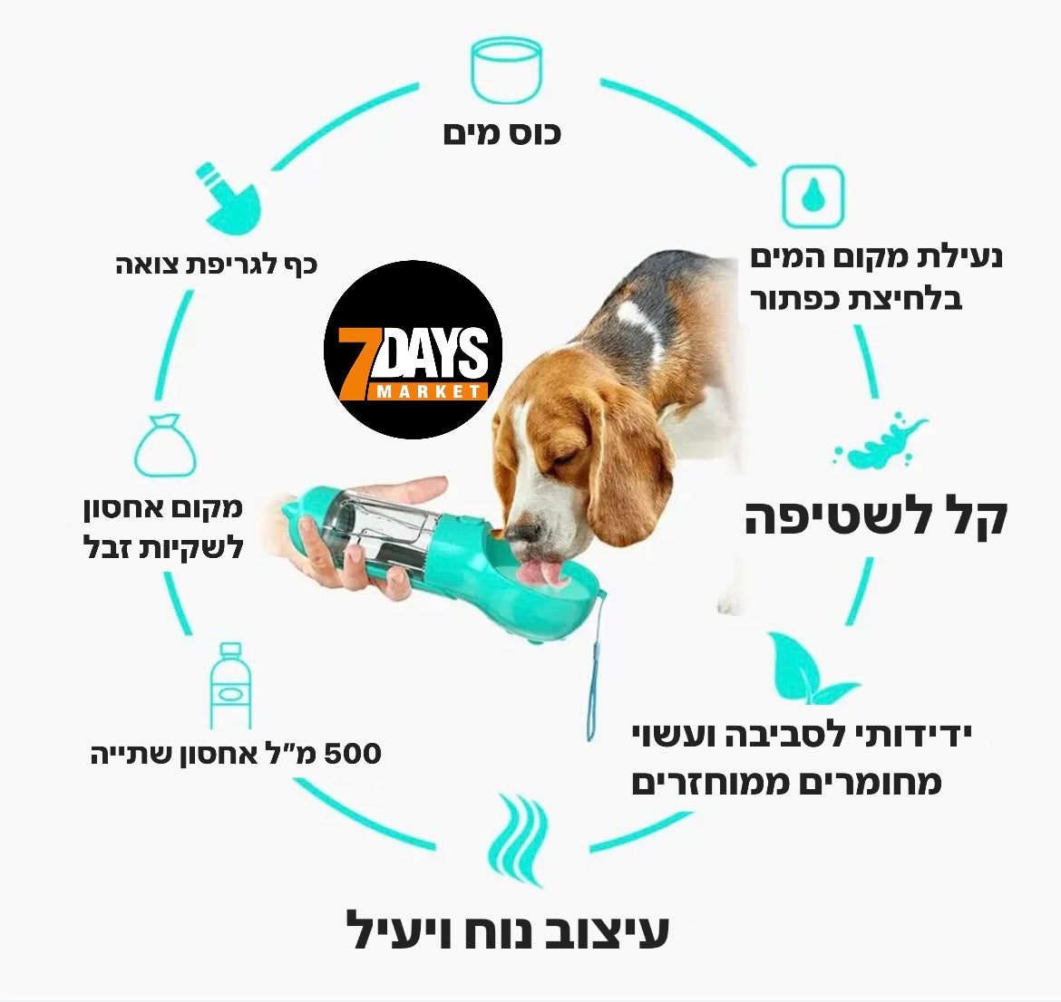 7DAYS הפתרון המושלם לטיול עם חיית המחמד